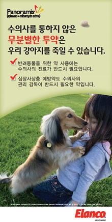 140421 포베츠 파노라미스 2