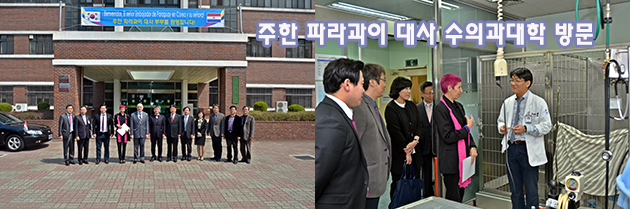 140423 충북대 파라과이