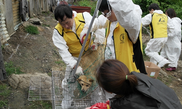 140427 서수데일리벳 사이트료봉사2
