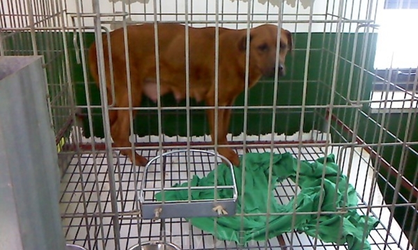 140428 미국유기데일리벳 슬롯 사이트