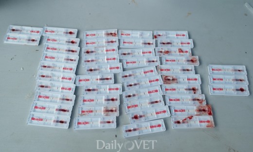 140430 위클리벳약국 규제개혁2