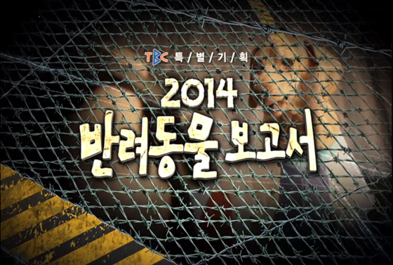 tbc반려데일리벳 바카라 사이트보고서_2014