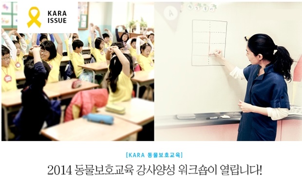 카라데일리벳 추천강사양성_2기