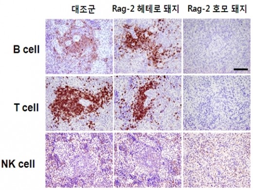 140509 데일리벳 도박데일리벳 도박2