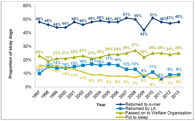 140522 영국유기견1