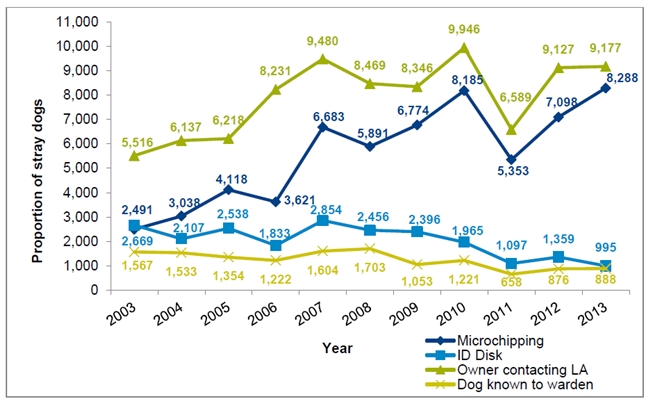 140522 영국유기견2