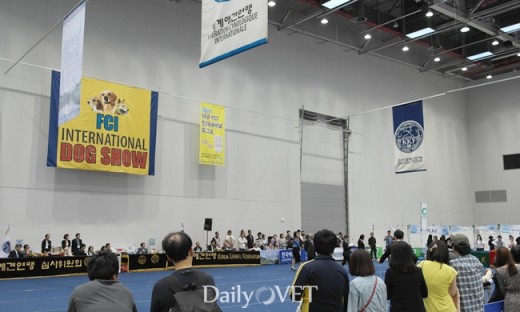 2014대구펫쇼5