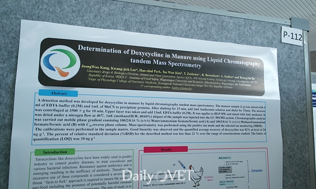 2014춘계베트윈2