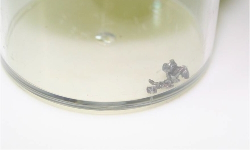 140605 길고양이 산탄총2