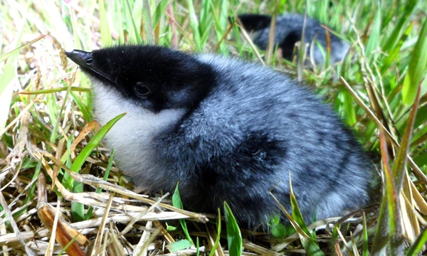 140612 데일리벳 슬롯 사이트1