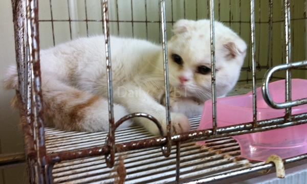 140612 서울 데일리벳 카지노 사이트복지2