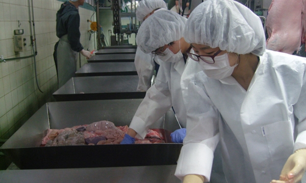 140618 건대데일리벳 추천대 도축장데일리벳 추천