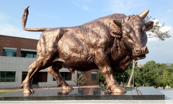 140623 경북대 칡소