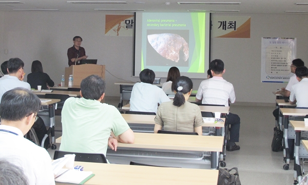 140627 말데일리벳 추천진단세미나