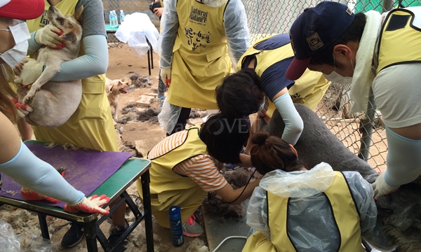 140706 내추럴발란스 천사원4