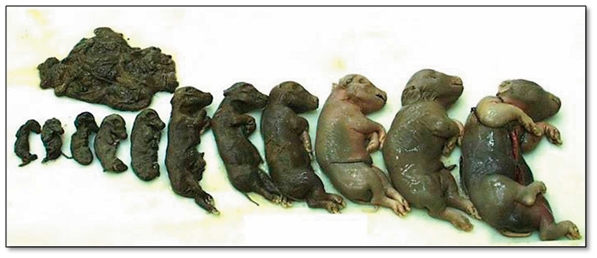 140709 오유식 데일리벳 카지노 사이트1