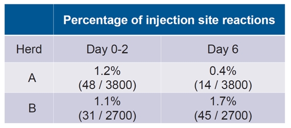 140709 오유식 데일리벳 카지노 사이트3