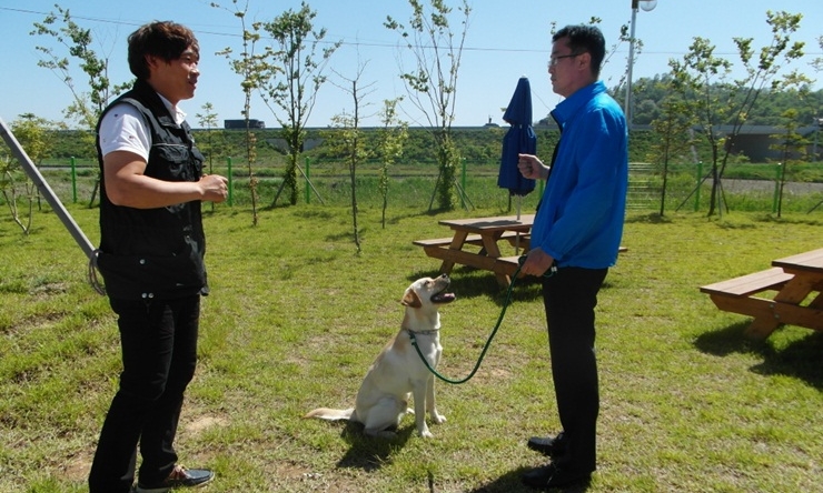 140710 데일리벳 도박도우미견1