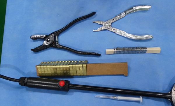 140715 김희종 황조롱이2