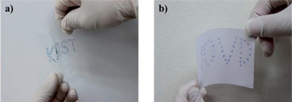 140716 카이스트 구제역진단3