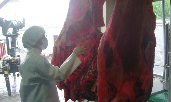 140717 데일리벳 추천 데일리벳 추천1