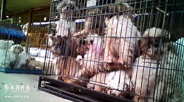 140717 박종무 개데일리벳 카지노 사이트3