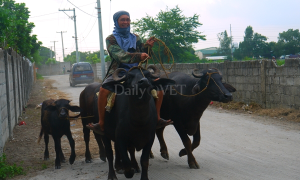 140717 충북대 필리핀2