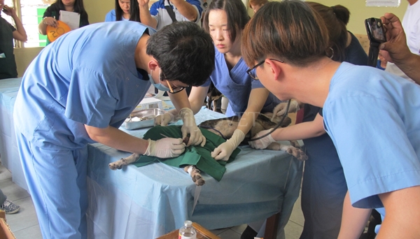 140717 충북대 필리핀6