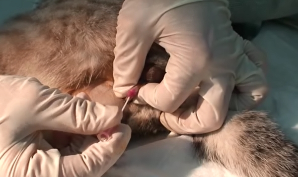 140725 바이엘 웨비나 후속2