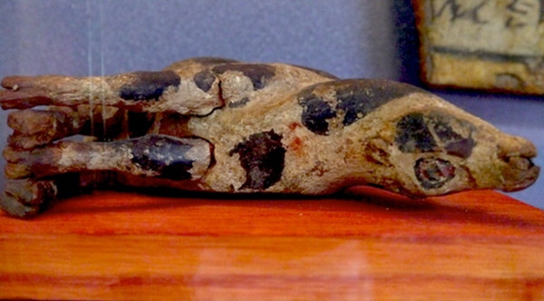 140728 천명선인문데일리벳 포럼학5