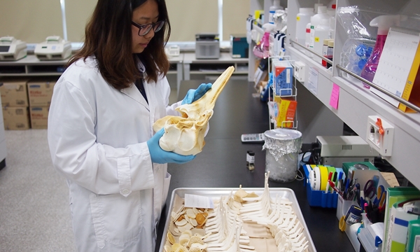 140731 데일리벳 도박뼈