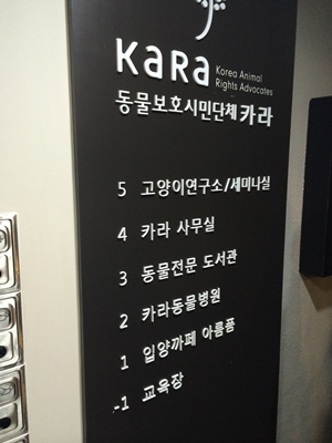 140814 카라 더불어숨4