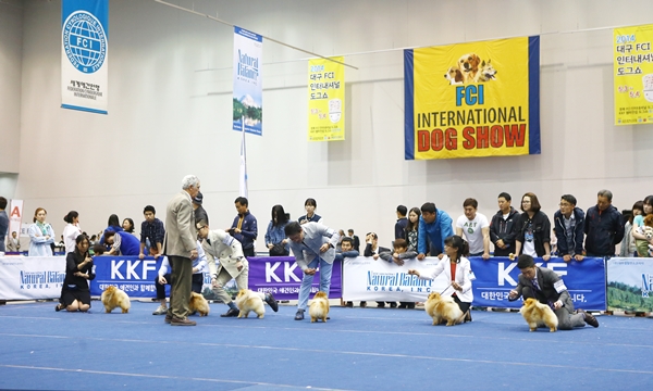 140825 FCI데일리벳 추천2