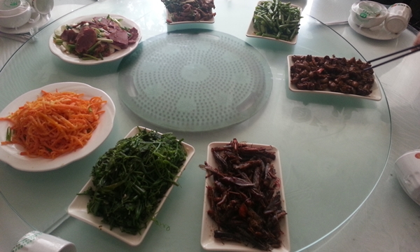 140826 조규만3탄8