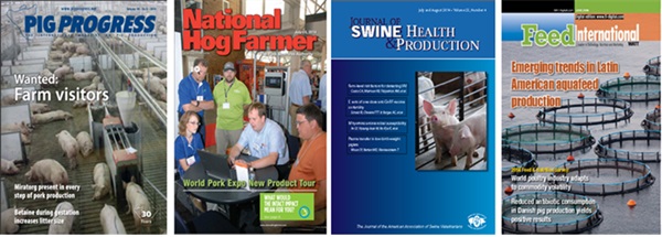 140829 양돈데일리벳 베팅1