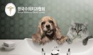 강아지·고양이 치아건강, 5월 29일 수의치과협회가 알려드립니다