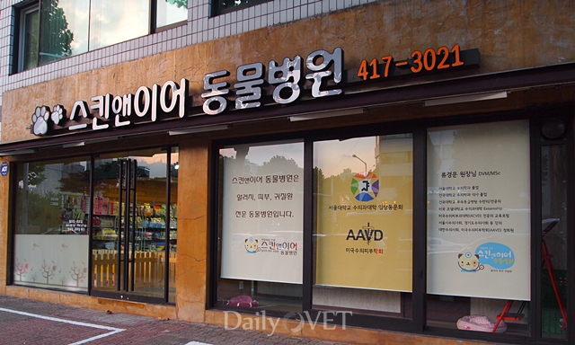 스킨앤이어데일리벳 추천