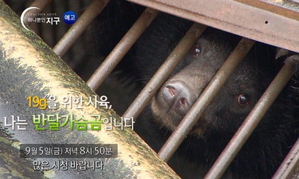 140901 ebs 데일리벳2