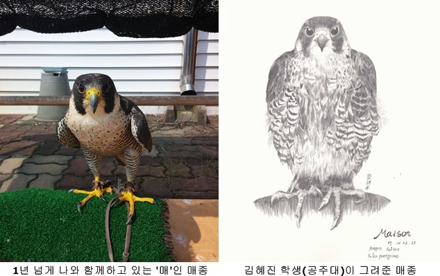 140915 김희종 매1