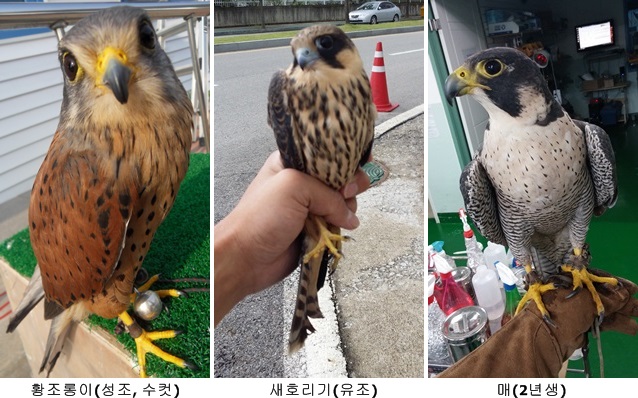 140915 김희종 매2