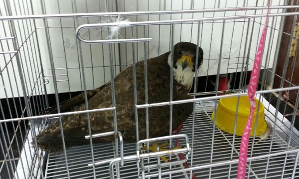 140915 김희종 매3