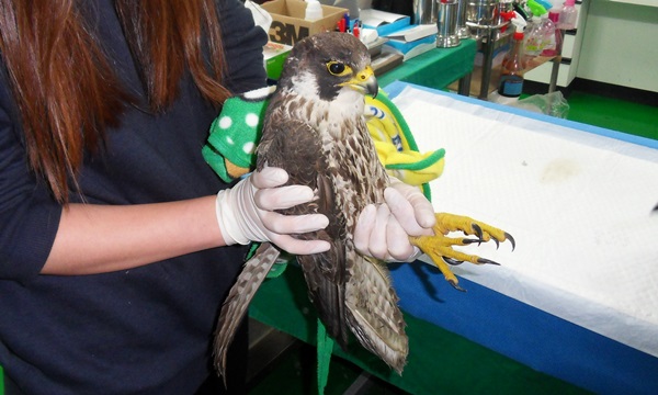 SAMSUNG DIGITAL CAMERA