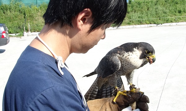140915 김희종 매7