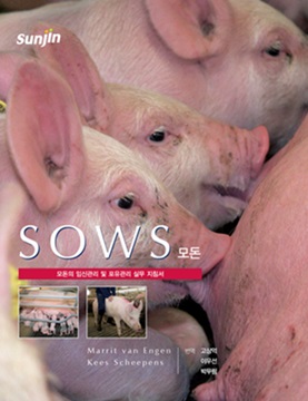 140916 양돈벳플레이스1