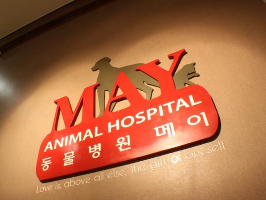 데일리벳 베팅메이1