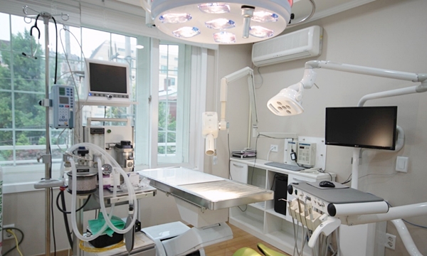 데일리벳 베팅메이4