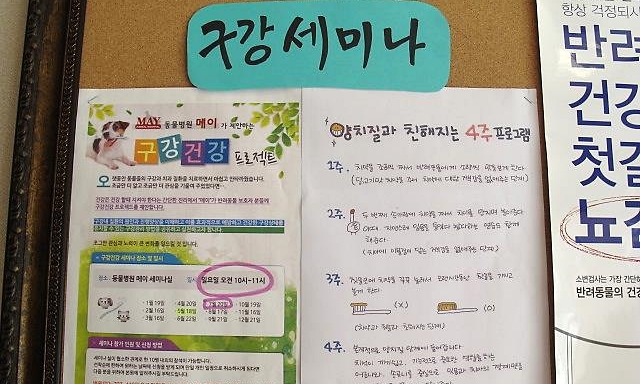 데일리벳 베팅메이5