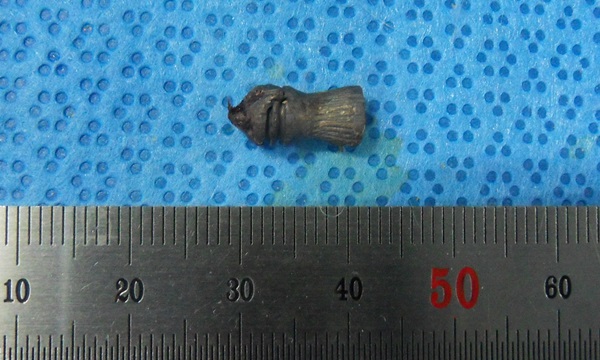 141015 김희종 큰고니3