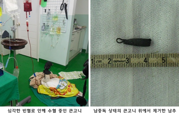 141015 김희종 큰고니5