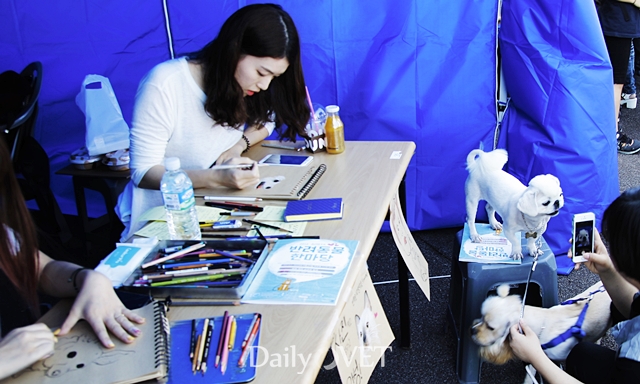 2014제주반려데일리벳 슬롯 사이트한마당10